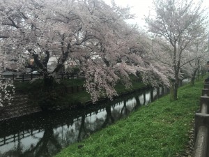 IMG_8414